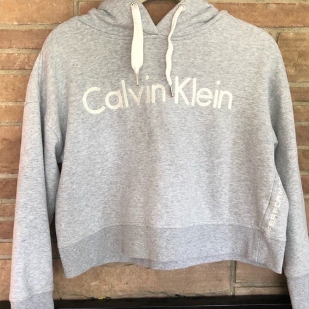 Cropped Calvin Klein Gray Sweatshirt